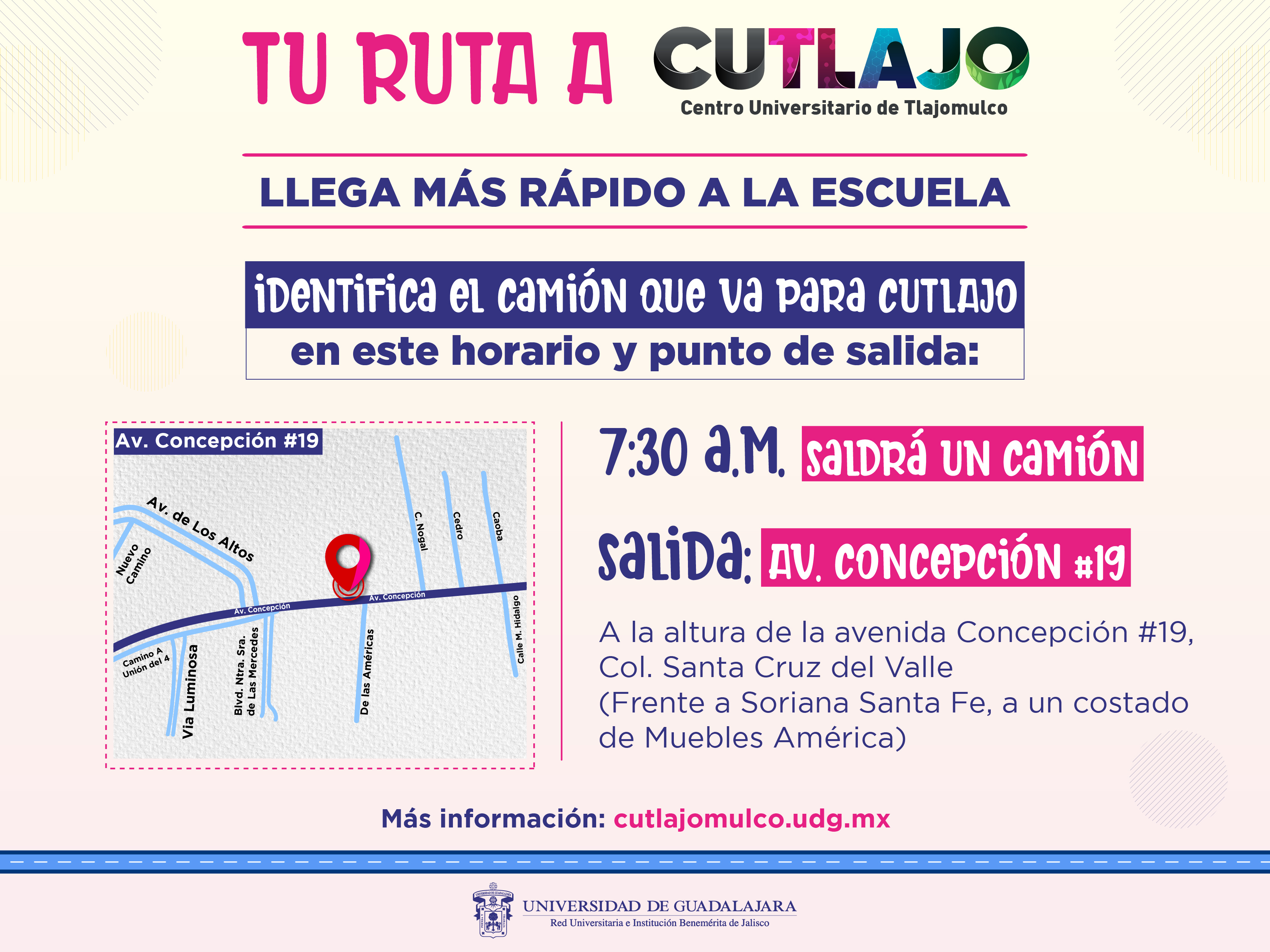 Grafico 3